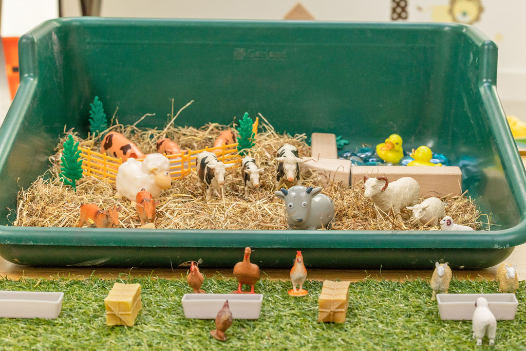 Children's rights & entitlements